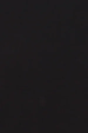 2681031 5