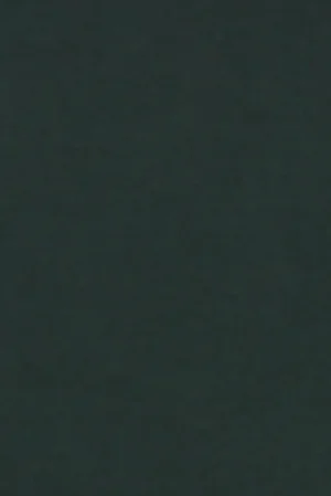 2681059 4